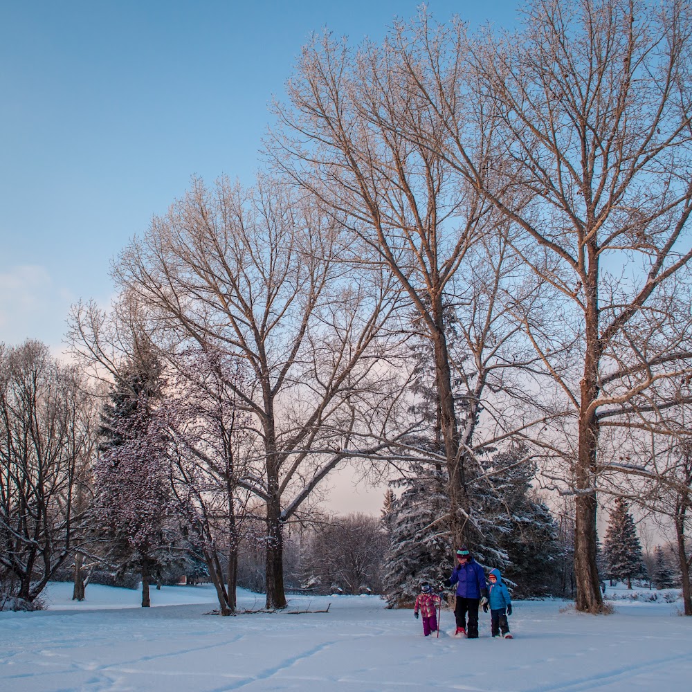 Barrett Park