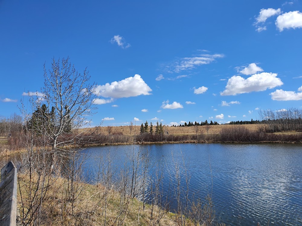 Michael O’Brien Wetland